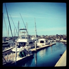 Sun Harbor Marina