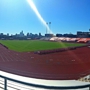 Mike A. Myers Stadium And Soccer Field