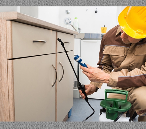 Bass Coast Pest Control - Wonthaggi, VIC