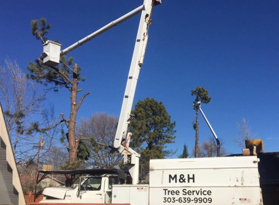 M & H Tree Service