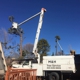 M & H Tree Service