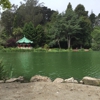 Golden Gate Park Skate & Bike gallery