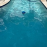Photo #01