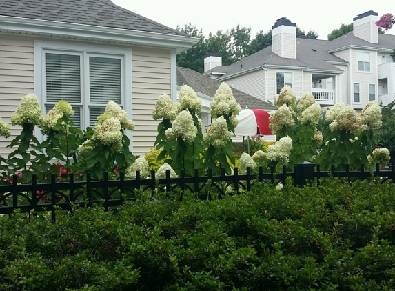 The Apartments at Pike Creek - Newark, DE