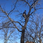 Happy Tree Trimming