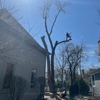 Tomax Tree Service gallery