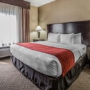 Comfort Suites Ogden Conference Center - Motels