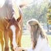 A and A FARMS EQUINE SPORTS CENTER gallery