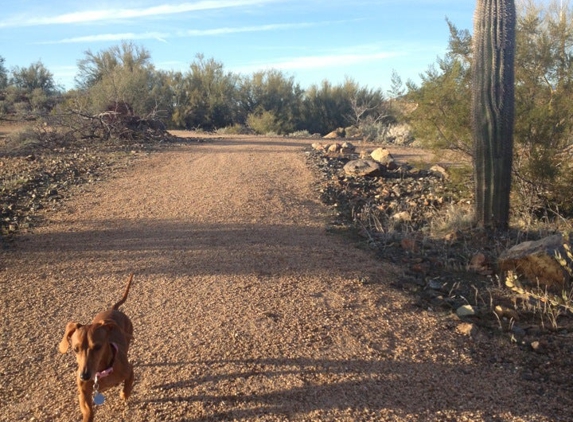 George Doc Cavalliere Park - Scottsdale, AZ