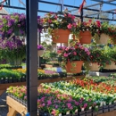 Holly Days Nursery, Garden Center, & Landscaping - Nurseries-Plants & Trees