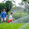 Sunrise Irrigation gallery