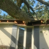 Heaven Sent Tree Service and Recovery gallery