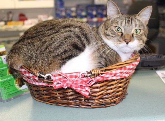 Torenbeek Veterinary Clinic - Frenchville, QLD