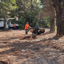 Mid-Florida Tree Service