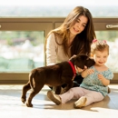In Home Pet Care Seattle - Pet Services