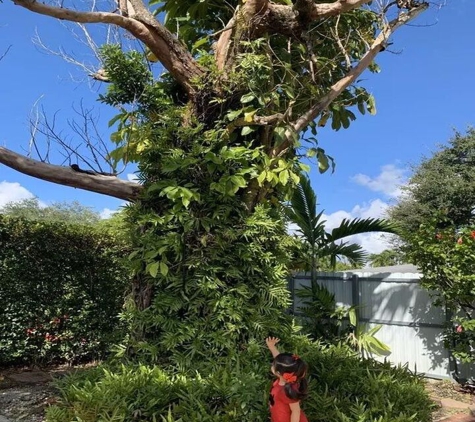 Acosta Tree Service