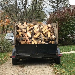In & Out Tree Care - Columbus, OH