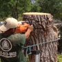 Capitol Tree Care