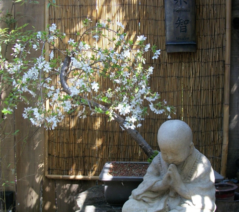 Ron Anderson Bonsai - santa cruz, CA