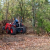 Last Cut Tree Service gallery