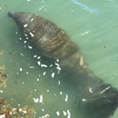 Manatee Lagoon - Places Of Interest