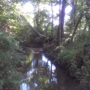 Beaman Park Nature Center