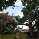 Valid Impressions Tree Service