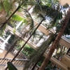 Orisini Apartments gallery