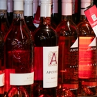 Webster Wine & Spirits