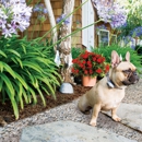 Invisible Fence Brand of Hampton Roads - Dog Training