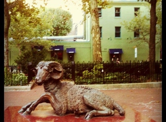 Cotoletta Fitler Square - Philadelphia, PA