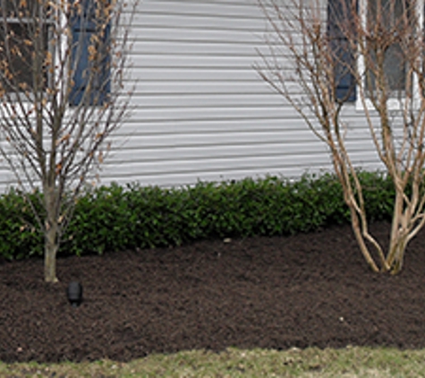 Angelo Palisciano Landscaping, Inc. - Huntington Station, NY