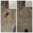 Absolute Carpet & Tile - Carpet Cleaning Austin