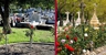 Karrakatta Cemetery - Cemetery