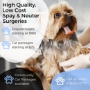 Spay Neuter Vets - Veterinarians