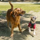 Pet Stop by Dog Containment Systems - Fence Materials