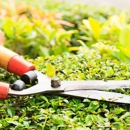 Fall Landscape and Tree Service - Landscape Contractors