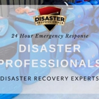 Disaster Professionals