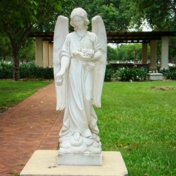 Gallery Image Number 6
