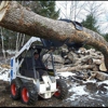 A. Torcasio Tree Service gallery