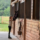 Jones Valley Farms - Horse Training