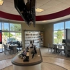 Verizon gallery