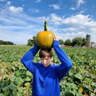 Schaake Pumpkin Patch