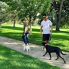 Chill Out Dog Training gallery