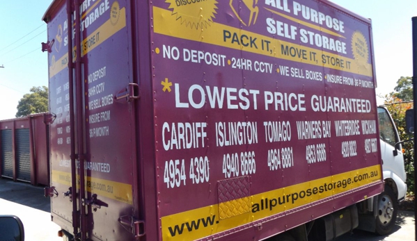 All Purpose Self Storage - Islington, NSW