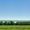 Seneca Lake Wine Trail gallery