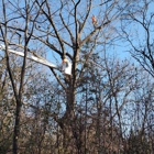 Simo Brothers Tree Service, Inc.