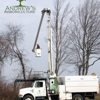 Andrew's Arboriculture gallery