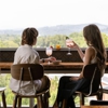 DoubleTree by Hilton Asheville Downtown gallery