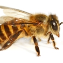Bee Busters Inc - Beekeepers